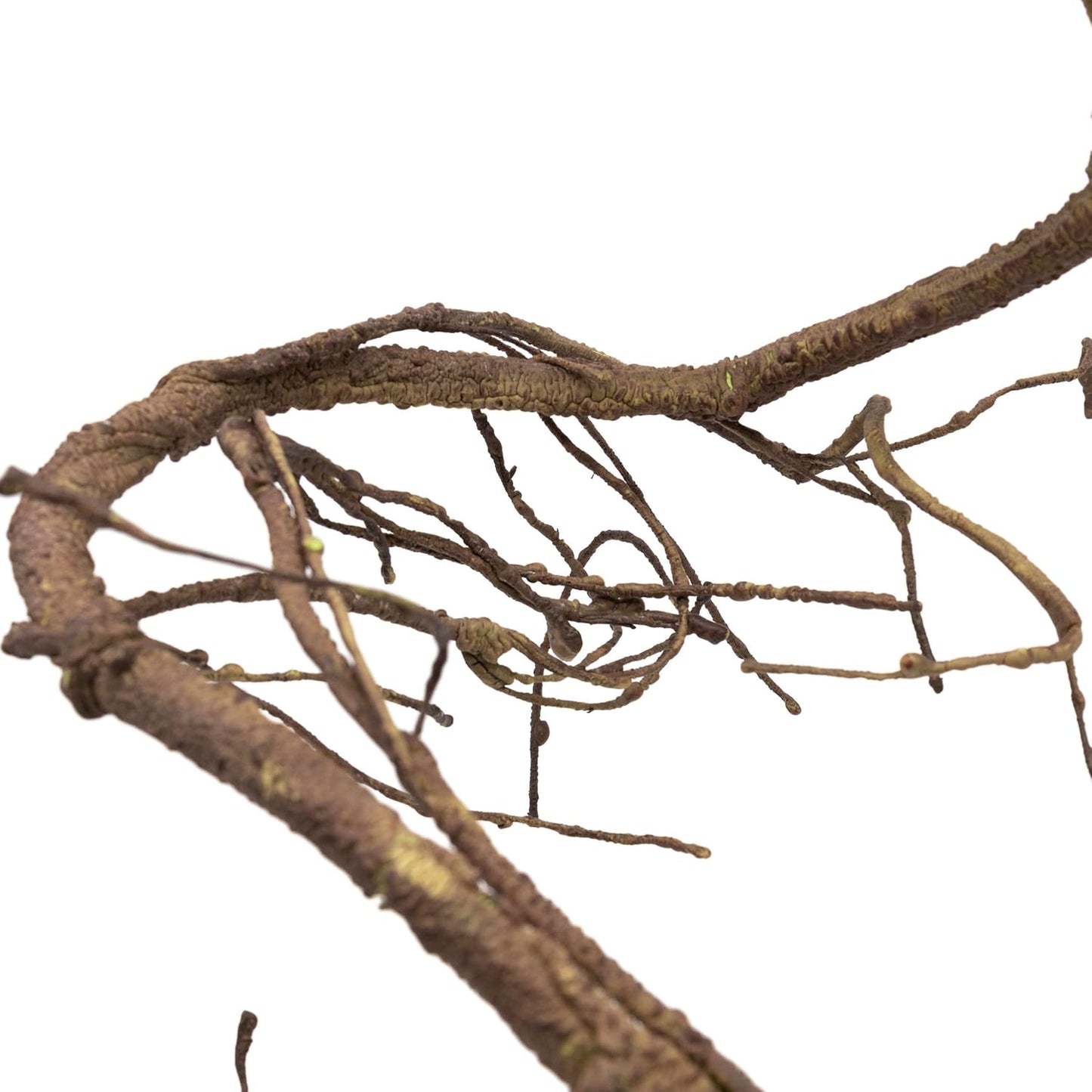 Ultimate Vine for Terrarium Habitat (Brown) | 6 ' Long Large Diameter Foam Vine for Reptile Enclosures, Bendable, Humidity Resistant, Bendy Offshoot Branches