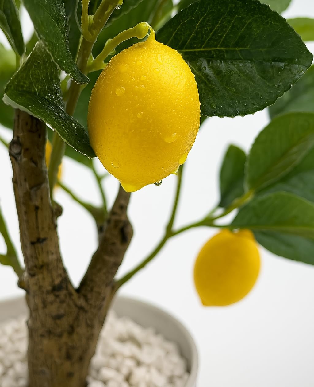 Artificial Lemon Tree with White Pot, 18” Faux Citrus Plant for Kitchen, Bathroom, Office or Shelf Decor, Vibrant Year-Round Home Accent Gift