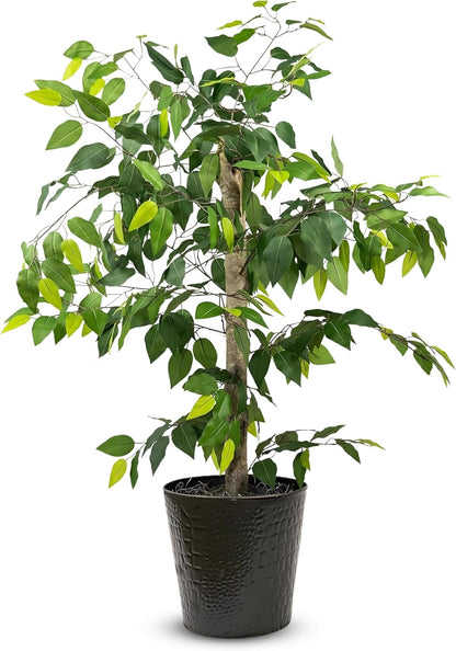 Artificial Tree 4ft Artificial Ficus Tree in Copper Metal Pot – Faux Indoor Plant with Real Wood Trunk, Fully Assembled for Living Room, Office & Entryway Décor