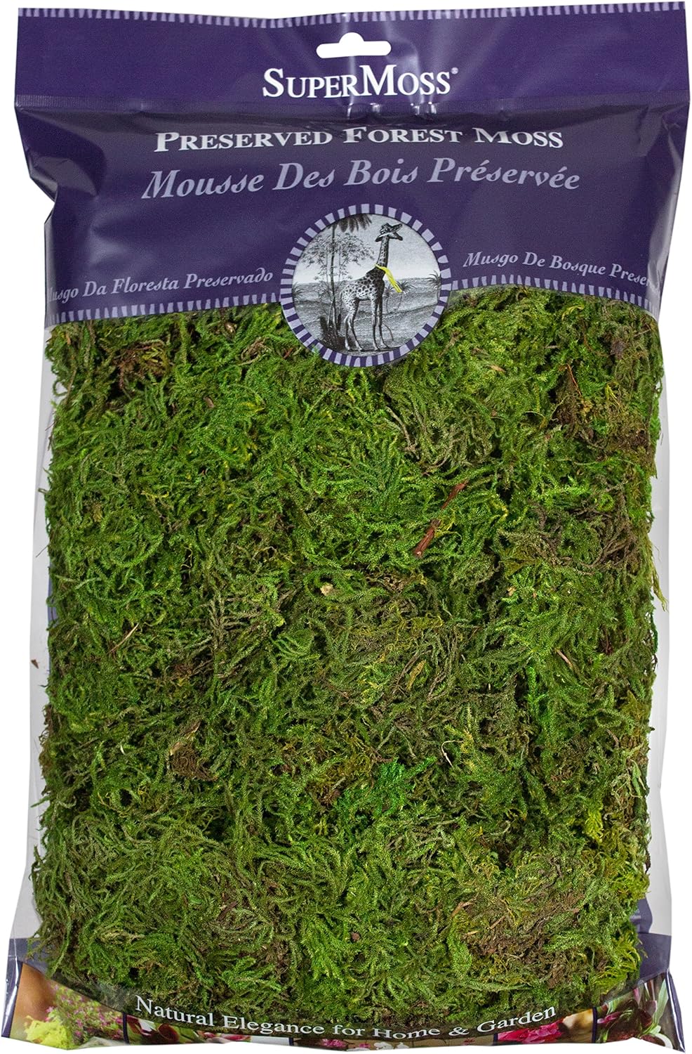 (25322) Forest Moss Preserved, Fresh Green, 8oz