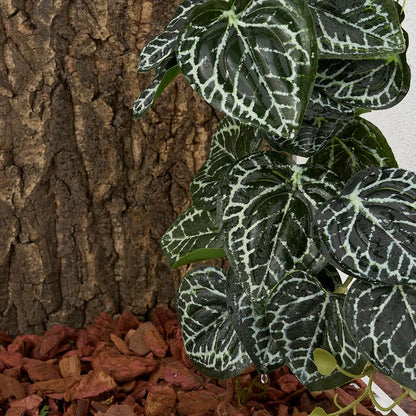 2Pack Fake Anthurium Crystallinum, Reptile Terrarium Decor Plants