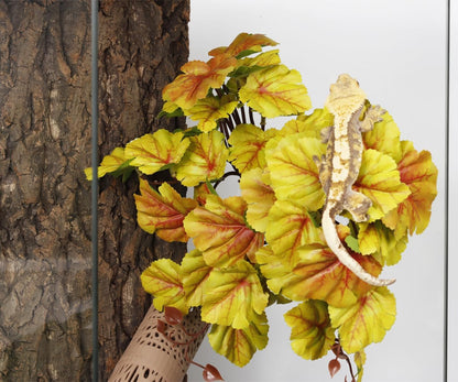 2Pack Fake Anthurium Crystallinum, Reptile Terrarium Decor Plants