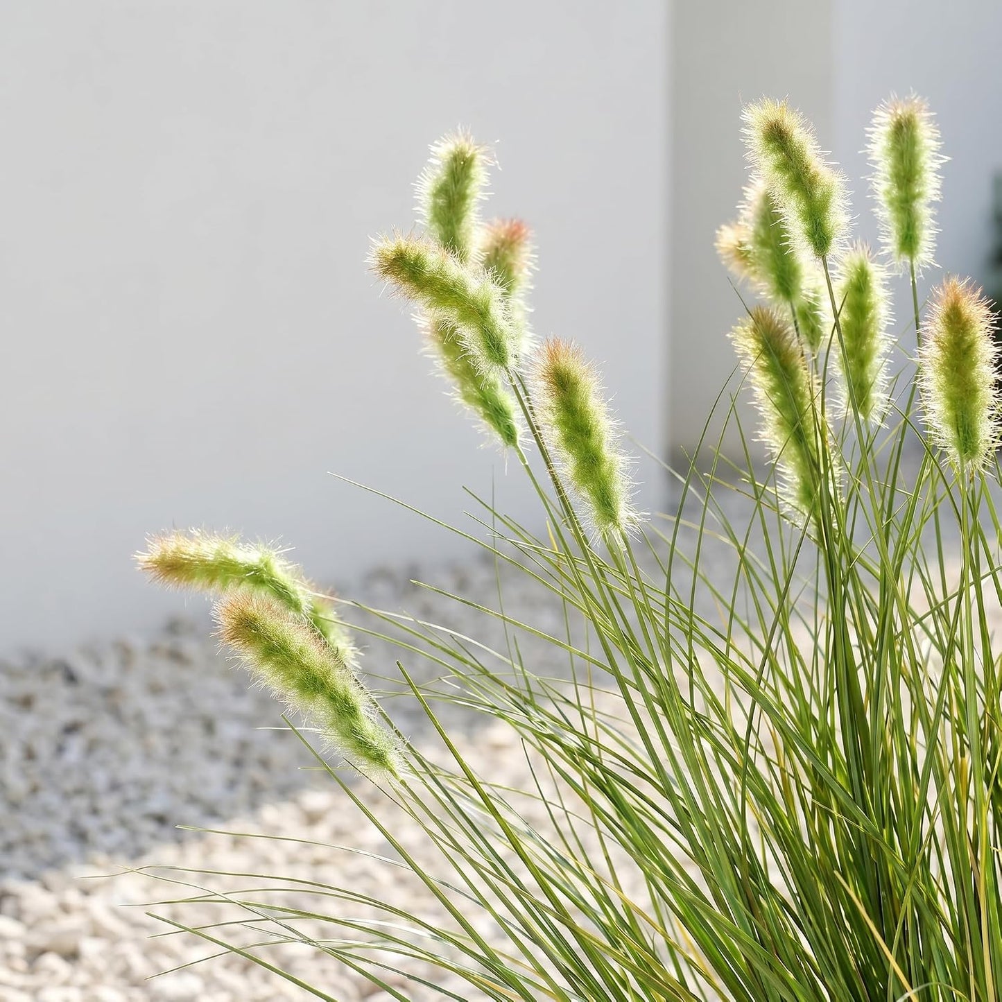 20PCS Artificial Onion Grass Stems 17.7in Faux Greenery Floral Arrangements | Vase filler; Home decoration; Wedding decoration; Bouquet making; Entryway décor; Indoor decoration