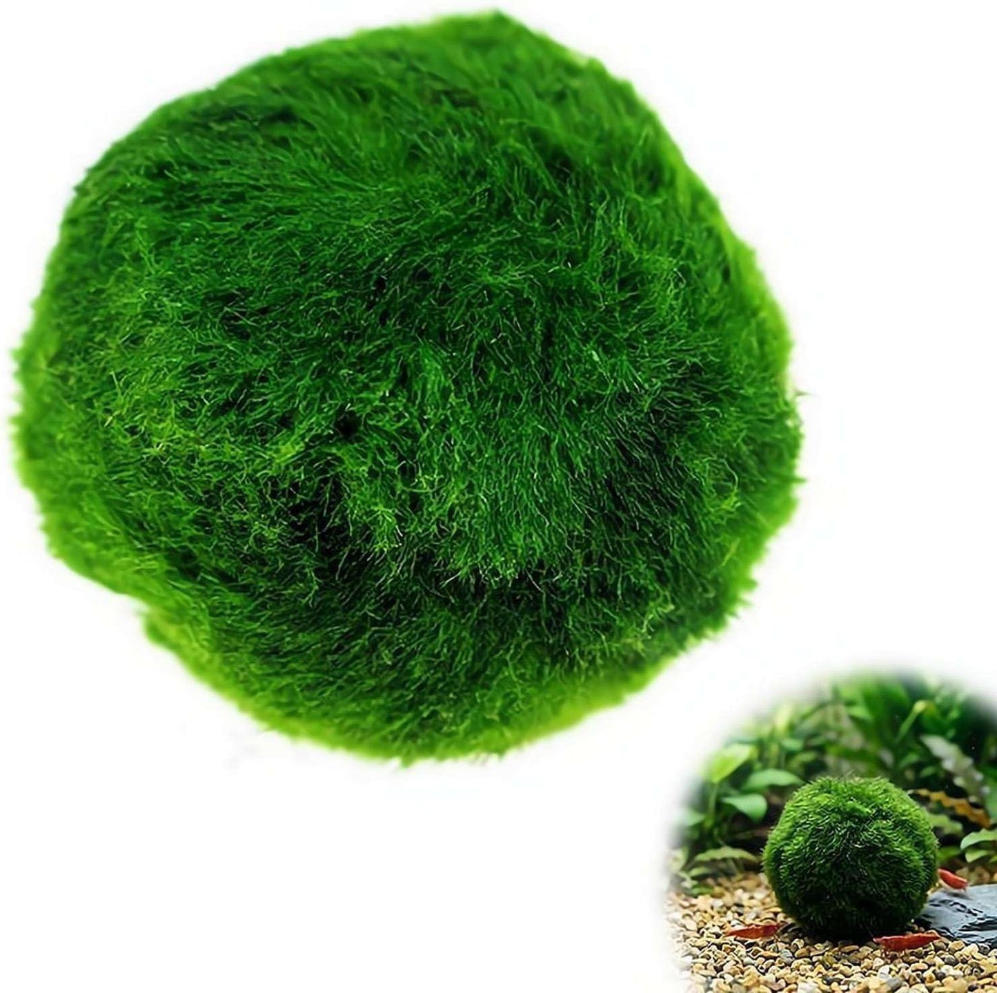 Moss Balls Decorative - Green Moss Balls Decorative, Natural Aquarium Plants Natural Handmade Ball Vase Fillers for Fish Tank Decor & Ecological Bottles (5cm)
