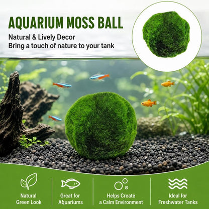 Moss Balls Decorative - Green Moss Balls Decorative, Natural Aquarium Plants Natural Handmade Ball Vase Fillers for Fish Tank Decor & Ecological Bottles (5cm)