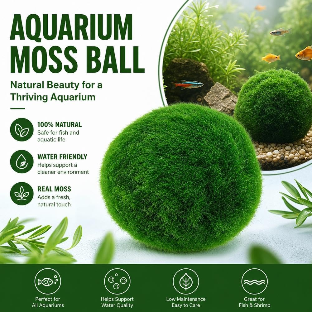 Moss Balls Decorative - Green Moss Balls Decorative, Natural Aquarium Plants Natural Handmade Ball Vase Fillers for Fish Tank Decor & Ecological Bottles (5cm)