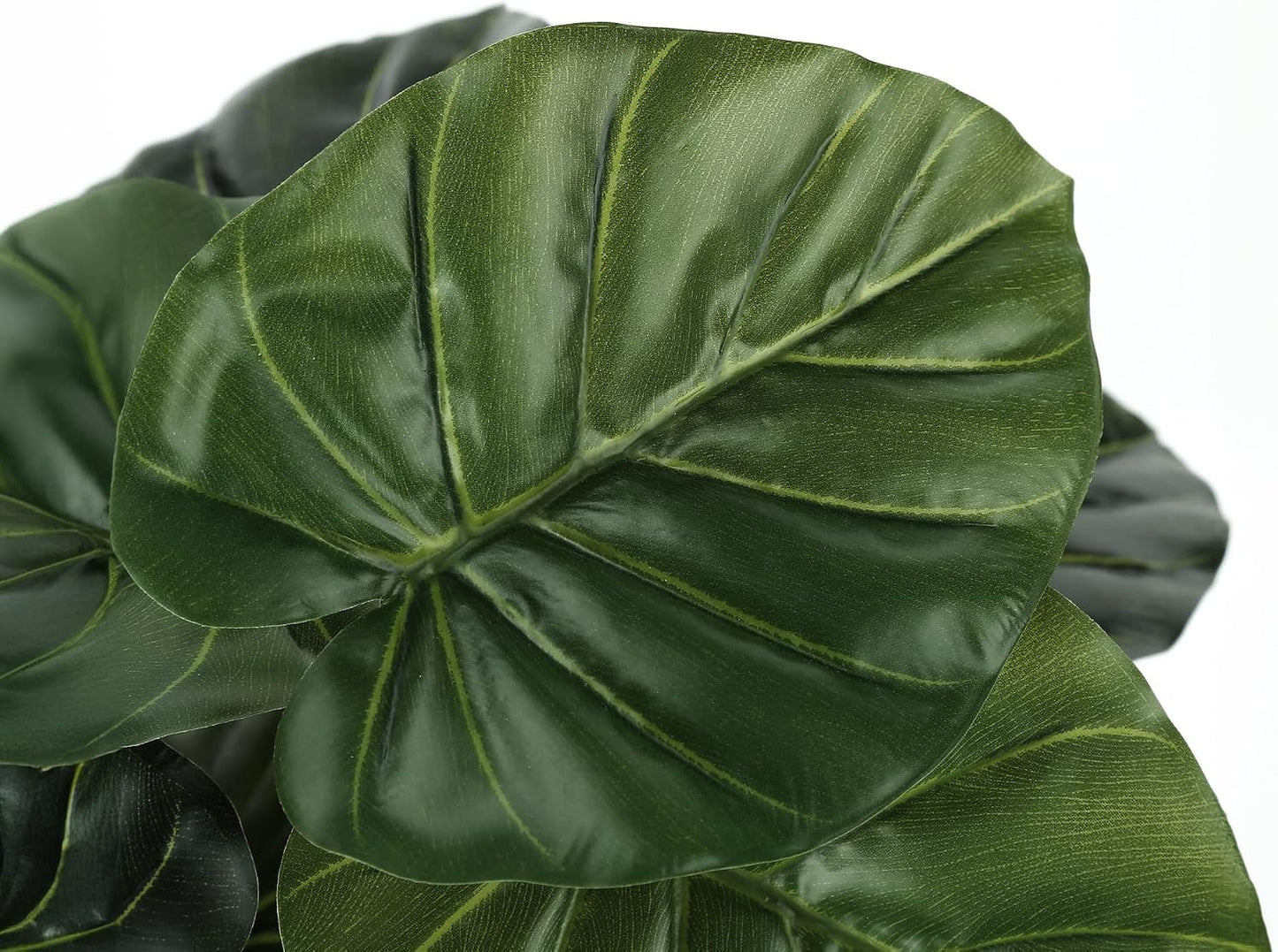 I 9578 Artificial Plant, 24" Tall, Alocasia, Indoor, Faux, Fake, Table, Greenery, Potted, Real Touch, Decorative, Green Leaves, Black Pot