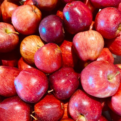 50Pcs Premium Apple Seeds for Planting - Hardy Fruit Trees, Ideal for Home Containers