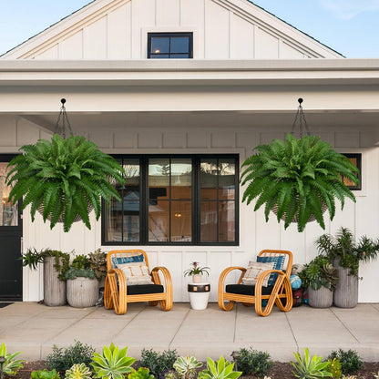 36In Artificial Boston Ferns Bush, Set of 2 Large Faux Ferns Plants, 39 Branches Fake Ferns Vines for Home Living Room Decor, Indoor and Outdoor