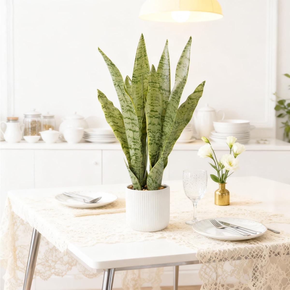 Artificial Realistic Snake Plant, White Pot, 21.5"