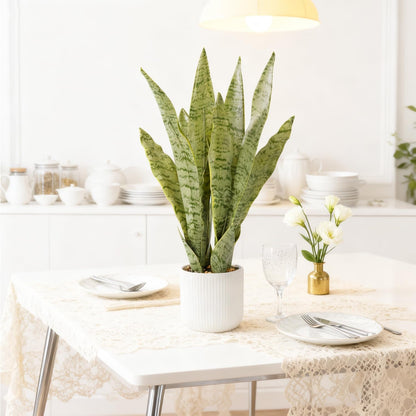 Artificial Realistic Snake Plant, White Pot, 21.5"