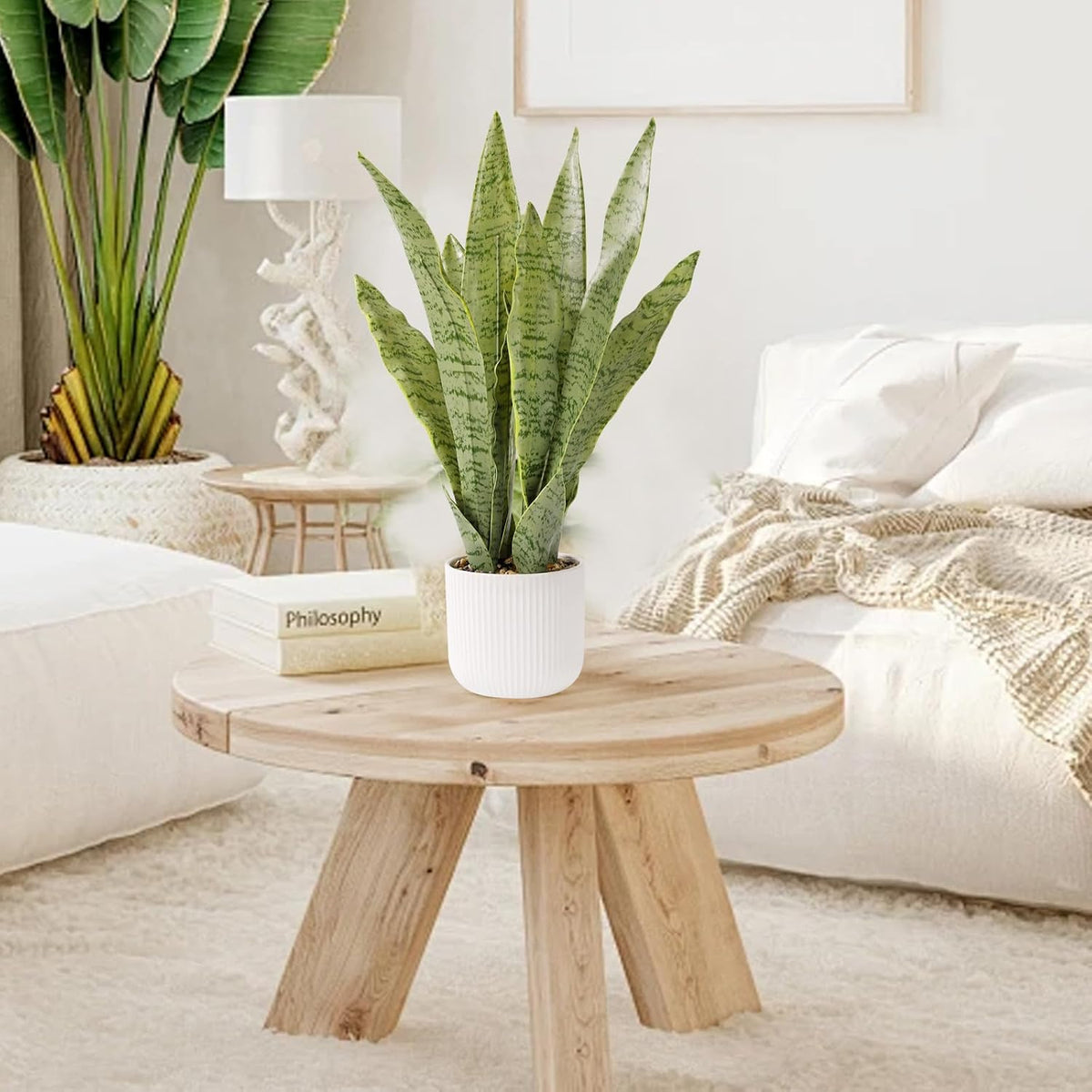 Artificial Realistic Snake Plant, White Pot, 21.5"