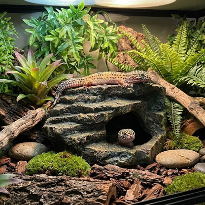Aquarium Decor Mountain View Stone Ornament, Premium Landscape Fish Tank Decorations, Fish Tank Accessories, Ideal for Betta, Snails, Turtle, Hiding, Playing, Basking and Resting Spots