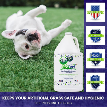 BioTurf BioS+ Turf Cleaner for Pet Urine Outdoor – Artificial Turf Cleaner Deodorizer Concentrate – Fake Grass & Yard Deodorizer for Dog Urine & Feces – Enzyme Kennel Odor Eliminator 32oz 2pk