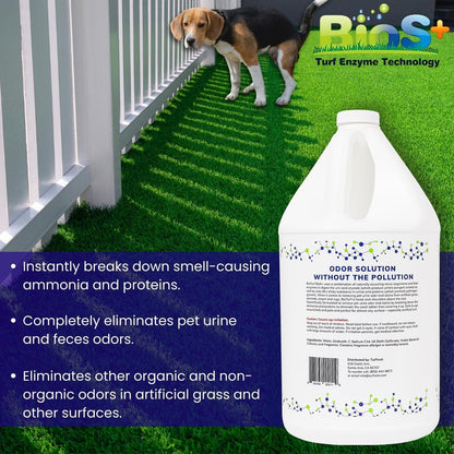 BioTurf BioS+ Turf Cleaner for Pet Urine Outdoor – Artificial Turf Cleaner Deodorizer Concentrate – Fake Grass & Yard Deodorizer for Dog Urine & Feces – Enzyme Kennel Odor Eliminator 32oz 2pk