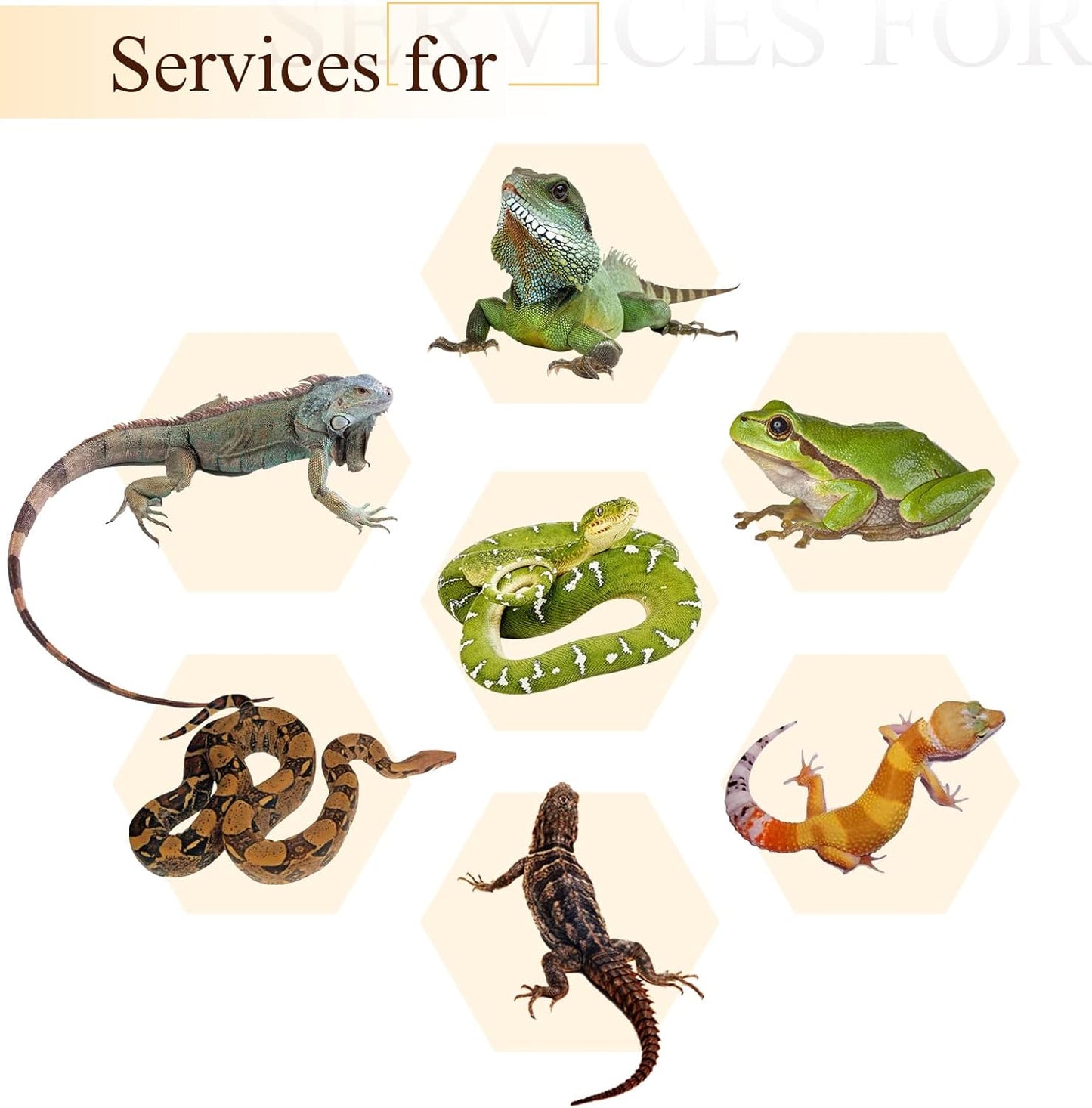 4 Pcs Reptile Vines, Flexible Bendable Jungle Climbing Vine Terrarium, Fake Plants for Reptiles, Artificial Leaves Terrarium Tank Pet Habitat Decor for Bearded Dragons, Lizard, Snake, Gecko