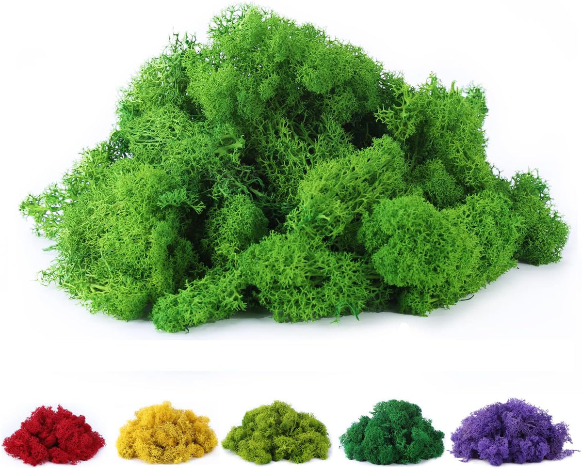 Fake Moss Preserved Reindeer Moss 3.5 OZ for Potted Plants, Arts and Crafts, Terrariums, Wall Decor, Centerpieces, Fairy Gardens, Wedding, Floral Project (Green)