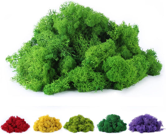 Fake Moss Preserved Reindeer Moss 3.5 OZ for Potted Plants, Arts and Crafts, Terrariums, Wall Decor, Centerpieces, Fairy Gardens, Wedding, Floral Project (Green)