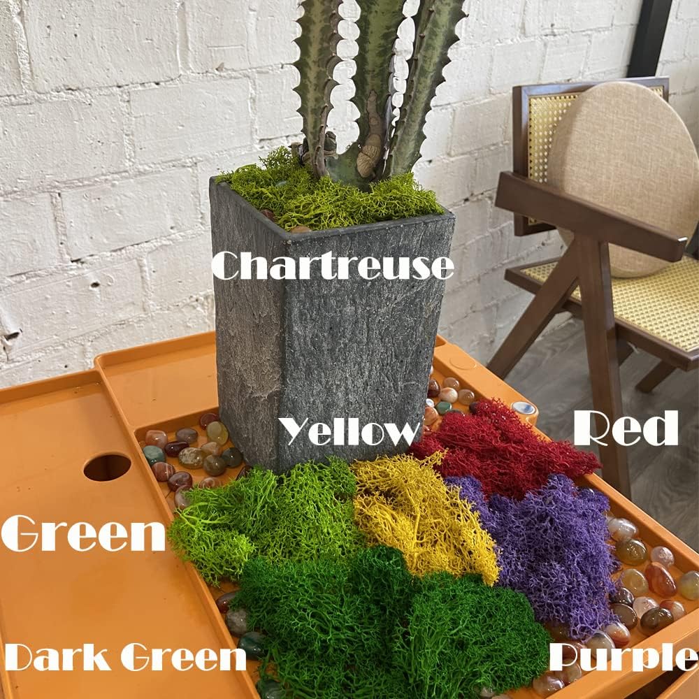 Fake Moss Preserved Reindeer Moss 3.5 OZ for Potted Plants, Arts and Crafts, Terrariums, Wall Decor, Centerpieces, Fairy Gardens, Wedding, Floral Project (Green)