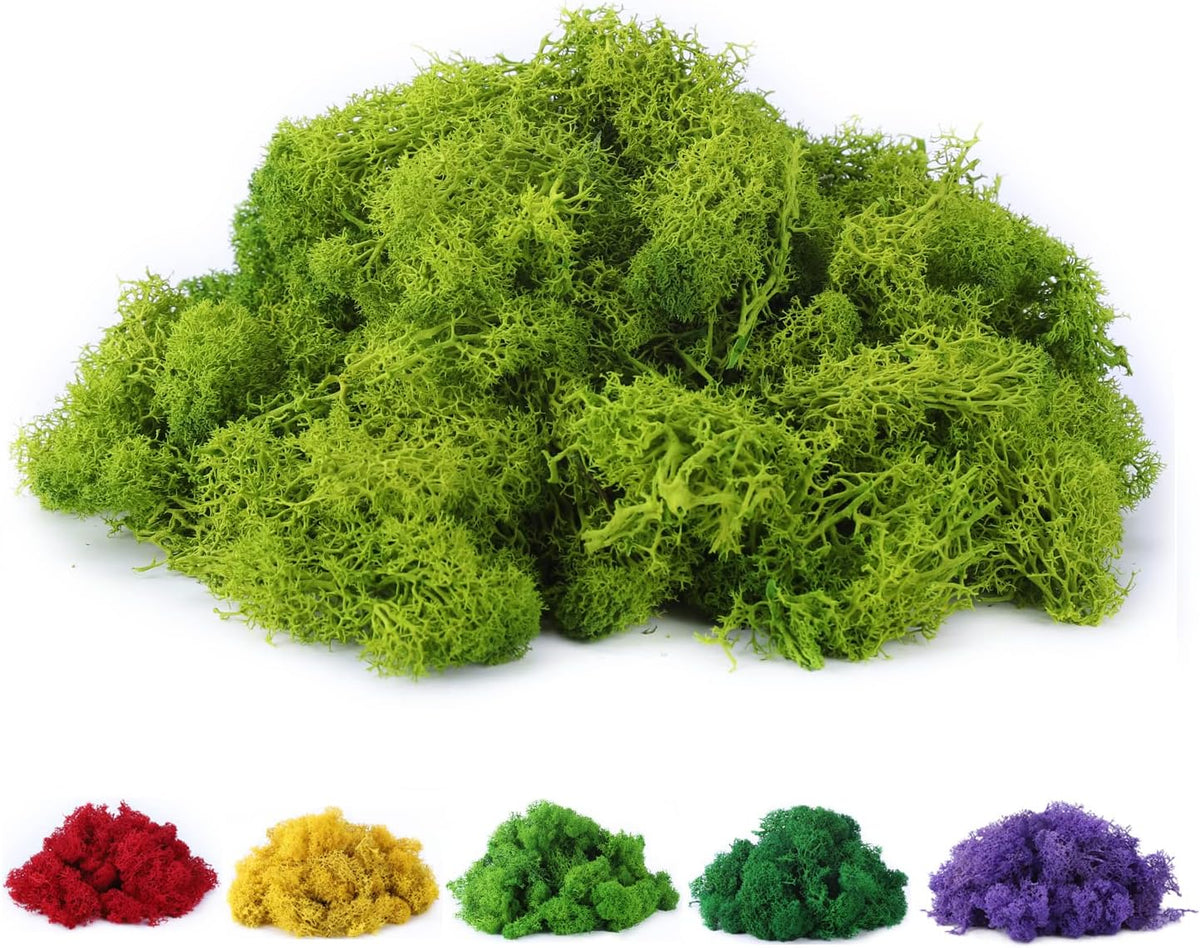 Fake Moss Preserved Reindeer Moss 3.5 OZ for Potted Plants, Arts and Crafts, Terrariums, Wall Decor, Centerpieces, Fairy Gardens, Wedding, Floral Project (Green)