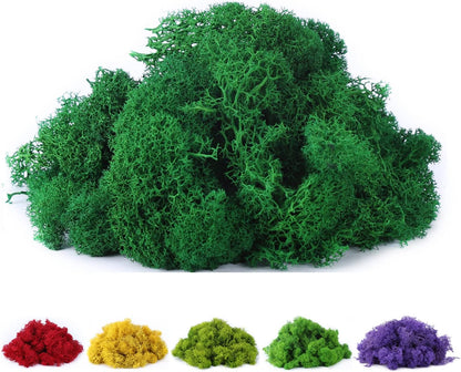 Fake Moss Preserved Reindeer Moss 3.5 OZ for Potted Plants, Arts and Crafts, Terrariums, Wall Decor, Centerpieces, Fairy Gardens, Wedding, Floral Project (Green)