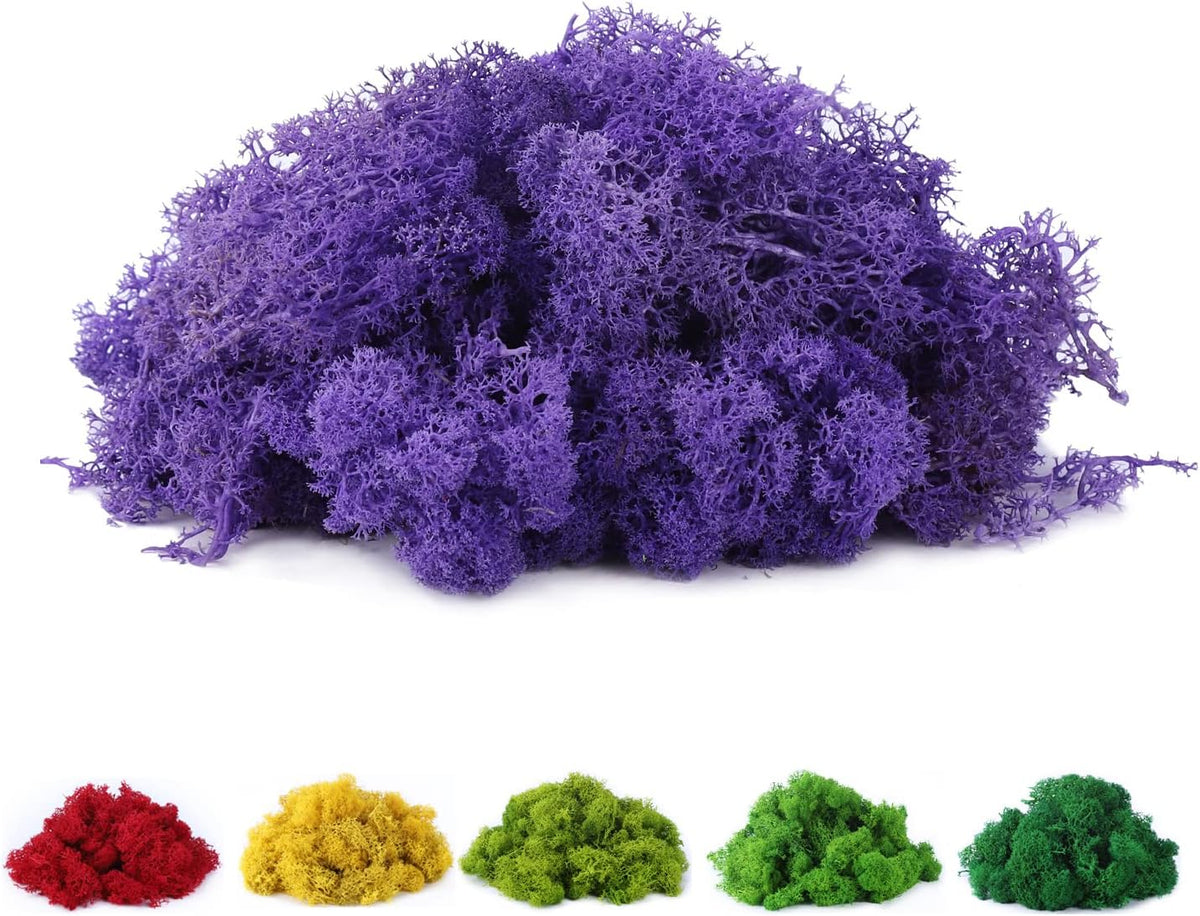 Fake Moss Preserved Reindeer Moss 3.5 OZ for Potted Plants, Arts and Crafts, Terrariums, Wall Decor, Centerpieces, Fairy Gardens, Wedding, Floral Project (Green)