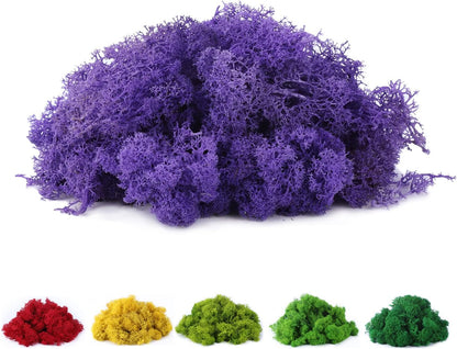 Fake Moss Preserved Reindeer Moss 3.5 OZ for Potted Plants, Arts and Crafts, Terrariums, Wall Decor, Centerpieces, Fairy Gardens, Wedding, Floral Project (Green)