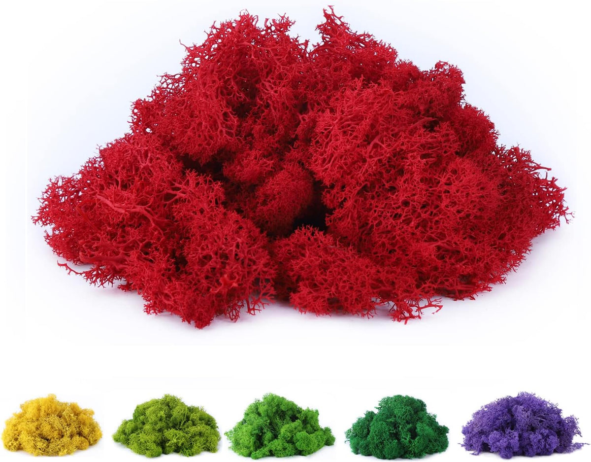 Fake Moss Preserved Reindeer Moss 3.5 OZ for Potted Plants, Arts and Crafts, Terrariums, Wall Decor, Centerpieces, Fairy Gardens, Wedding, Floral Project (Green)