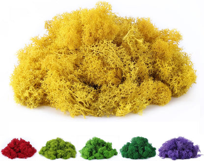 Fake Moss Preserved Reindeer Moss 3.5 OZ for Potted Plants, Arts and Crafts, Terrariums, Wall Decor, Centerpieces, Fairy Gardens, Wedding, Floral Project (Green)