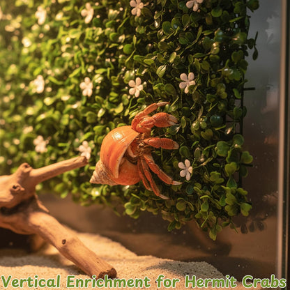 Hermit Crab Climbing Wall Enrichment Toys, Climbing Wall Toys With Suction Cups And Cable Ties, Faux Grass Mats Accessories for Tank Aquarium Exploration Habitat, Hermit Crab Tank (Green Decorations)