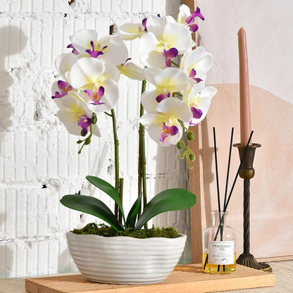 Large Artificial Orchid Arrangement in Oval Ribbed Ceramic Pot, White
