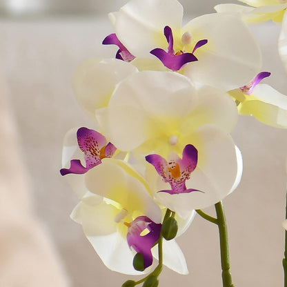 Large Artificial Orchid Arrangement in Oval Ribbed Ceramic Pot, White