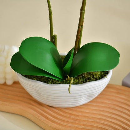 Large Artificial Orchid Arrangement in Oval Ribbed Ceramic Pot, White