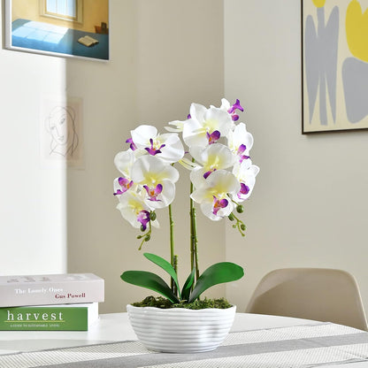 Large Artificial Orchid Arrangement in Oval Ribbed Ceramic Pot, White