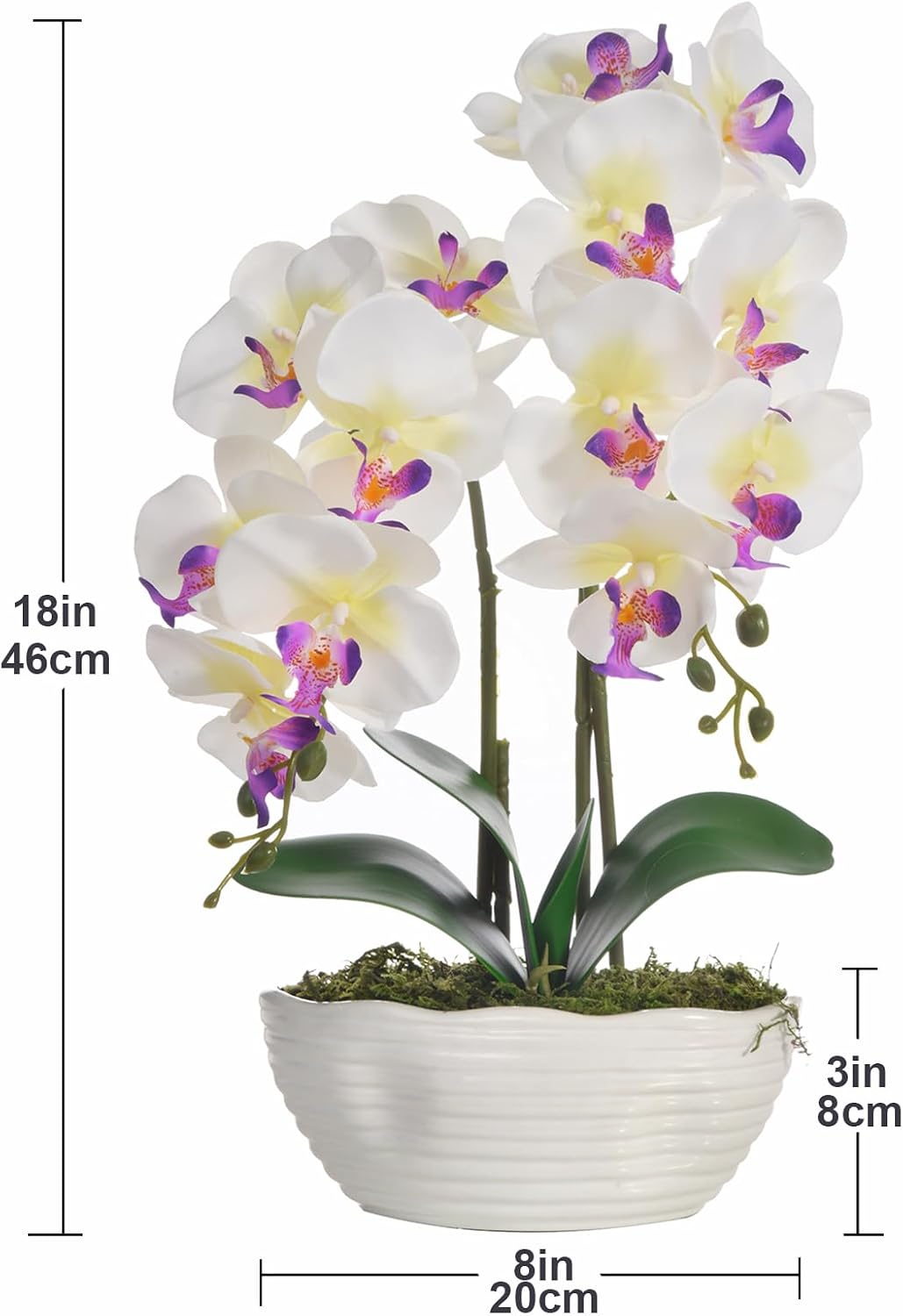 Large Artificial Orchid Arrangement in Oval Ribbed Ceramic Pot, White
