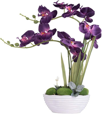 Large Artificial Orchid Arrangement in Oval Ribbed Ceramic Pot, White