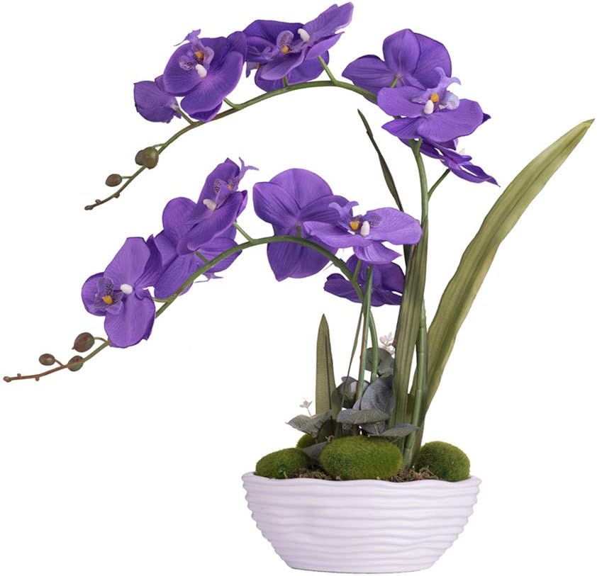 Large Artificial Orchid Arrangement in Oval Ribbed Ceramic Pot, White