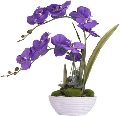 Large Artificial Orchid Arrangement in Oval Ribbed Ceramic Pot, White