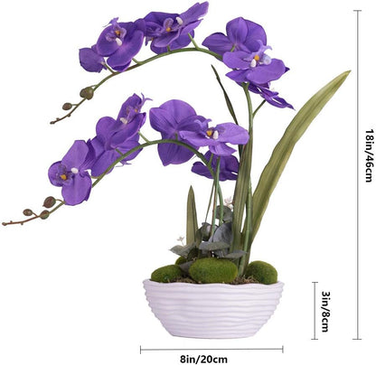 Large Artificial Orchid Arrangement in Oval Ribbed Ceramic Pot, White
