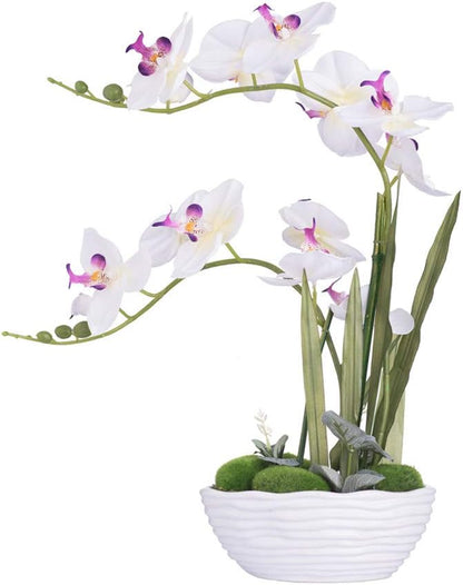 Large Artificial Orchid Arrangement in Oval Ribbed Ceramic Pot, White