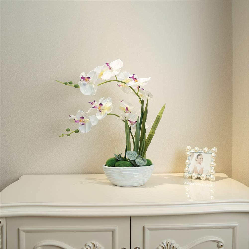 Large Artificial Orchid Arrangement in Oval Ribbed Ceramic Pot, White