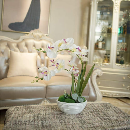 Large Artificial Orchid Arrangement in Oval Ribbed Ceramic Pot, White
