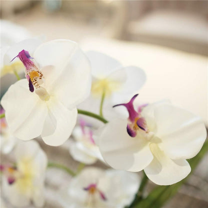 Large Artificial Orchid Arrangement in Oval Ribbed Ceramic Pot, White
