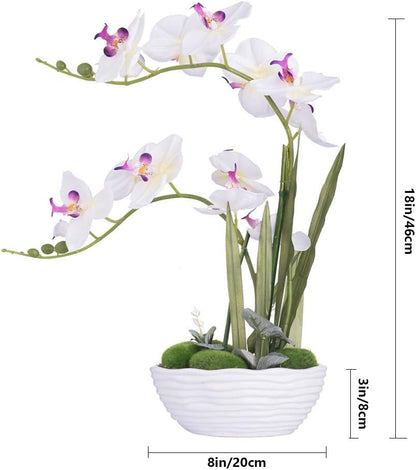 Large Artificial Orchid Arrangement in Oval Ribbed Ceramic Pot, White