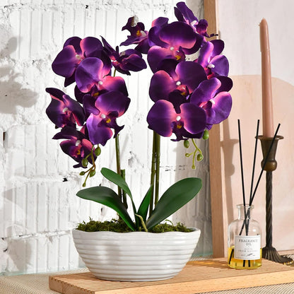 Large Artificial Orchid Arrangement in Oval Ribbed Ceramic Pot, White