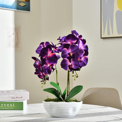 Large Artificial Orchid Arrangement in Oval Ribbed Ceramic Pot, White