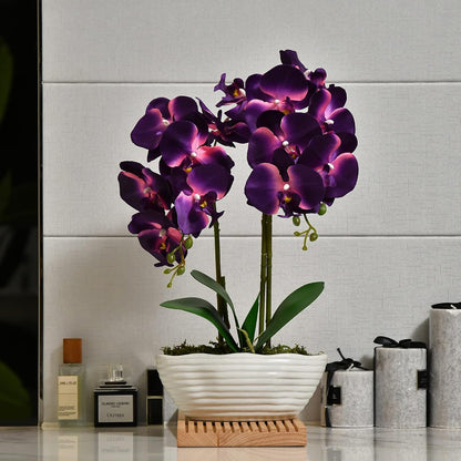 Large Artificial Orchid Arrangement in Oval Ribbed Ceramic Pot, White