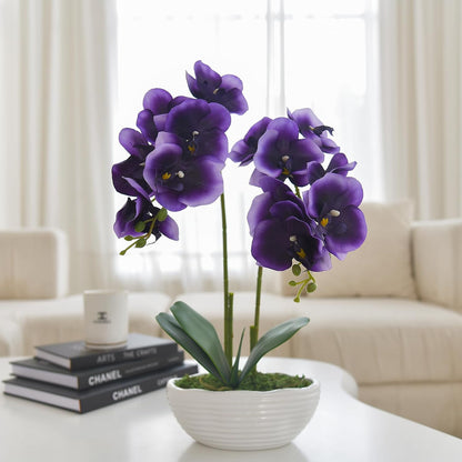 Large Artificial Orchid Arrangement in Oval Ribbed Ceramic Pot, White