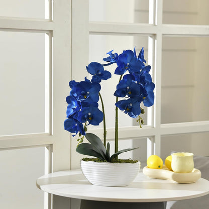 Large Artificial Orchid Arrangement in Oval Ribbed Ceramic Pot, White