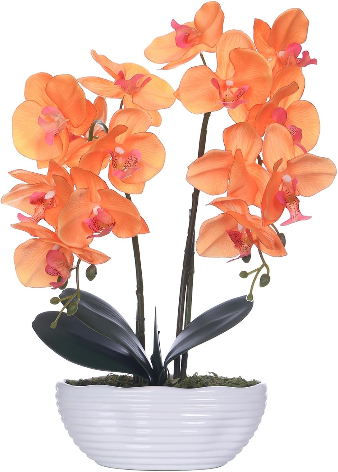 Large Artificial Orchid Arrangement in Oval Ribbed Ceramic Pot, White